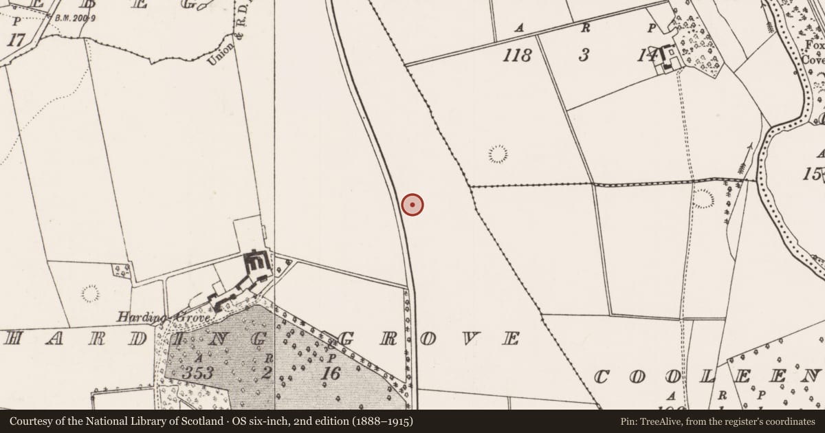 Ordnance Survey six-inch map, 2nd edition (1888–1915) covering the location of Ringfort - rath, Harding Grove, County Limerick, with a pin at the register's coordinates