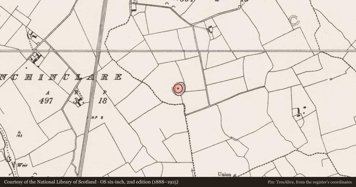 Ordnance Survey six-inch map, 2nd edition (1888–1915) covering the location of Ringfort - rath, Rosstemple, County Limerick, with a pin at the register's coordinates