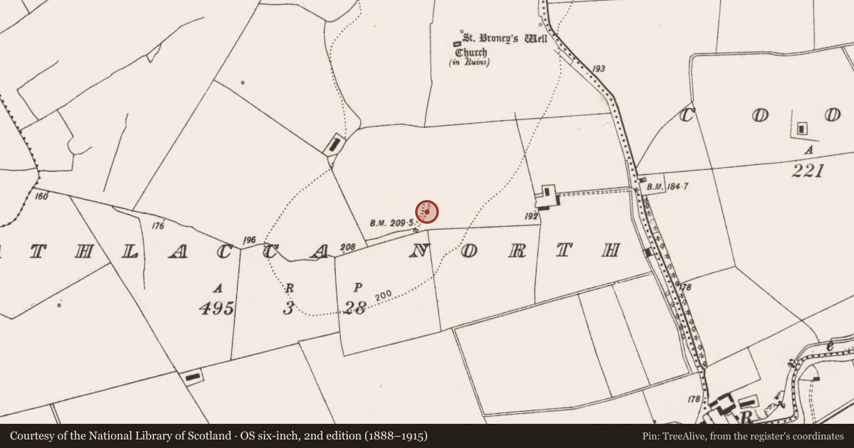Ordnance Survey six-inch map, 2nd edition (1888–1915) covering the location of Road - hollow-way, Athlacca North, County Limerick, with a pin at the register's coordinates