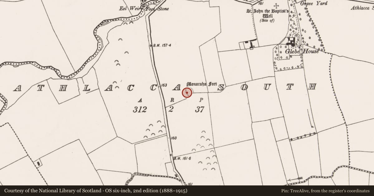 Ordnance Survey six-inch map, 2nd edition (1888–1915) covering the location of Ringfort - rath, Athlacca South, County Limerick, with a pin at the register's coordinates