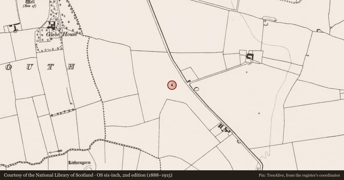 Ordnance Survey six-inch map, 2nd edition (1888–1915) covering the location of Barrow - unclassified, Rathcannon, County Limerick, with a pin at the register's coordinates