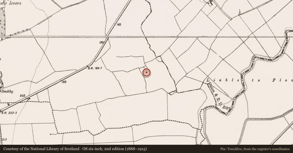 Ordnance Survey six-inch map, 2nd edition (1888–1915) covering the location of Ringfort - rath, Tullerboy, County Limerick, with a pin at the register's coordinates