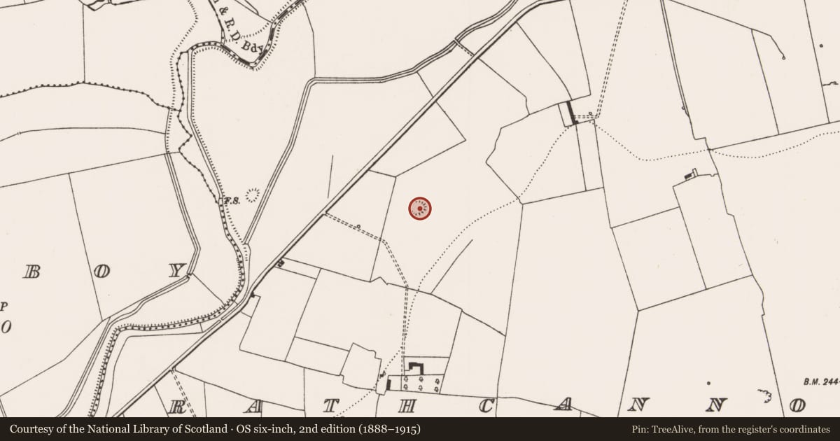 Ordnance Survey six-inch map, 2nd edition (1888–1915) covering the location of Ringfort - rath, Rathcannon, County Limerick, with a pin at the register's coordinates