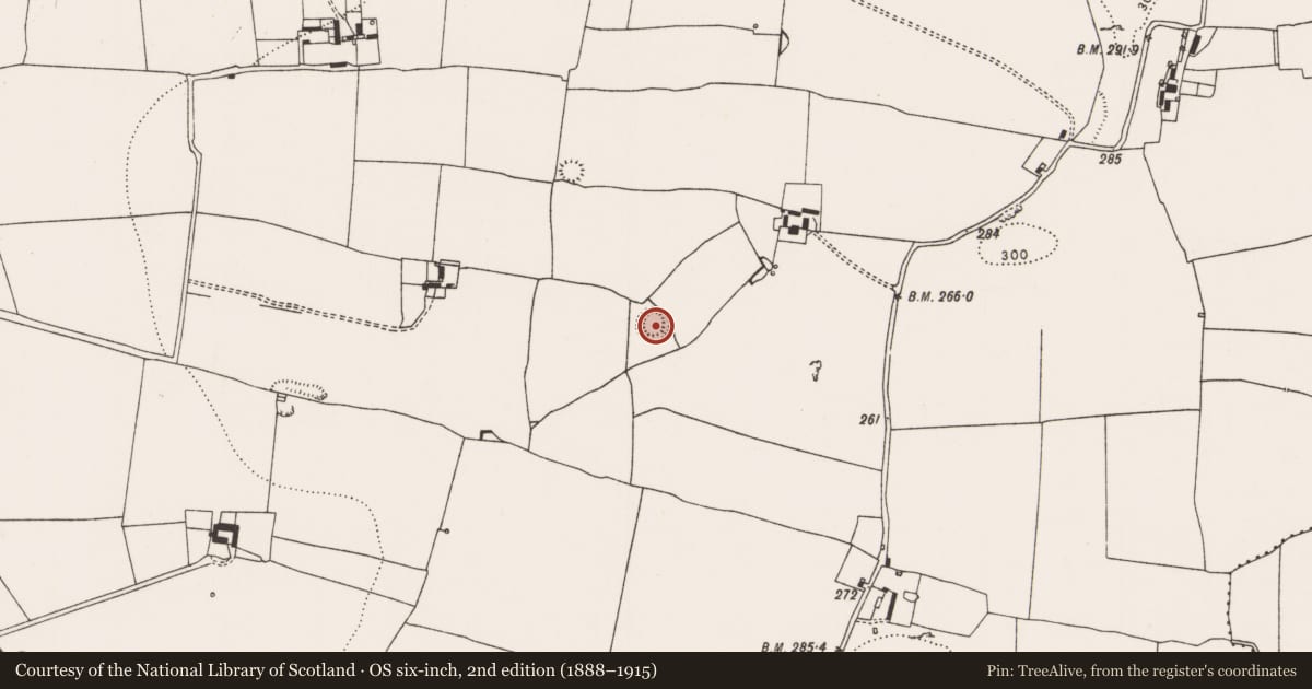 Ordnance Survey six-inch map, 2nd edition (1888–1915) covering the location of Ringfort - rath, Rathcannon, County Limerick, with a pin at the register's coordinates