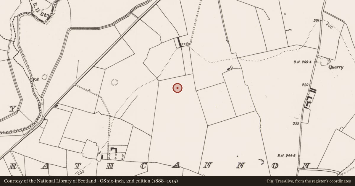 Ordnance Survey six-inch map, 2nd edition (1888–1915) covering the location of Enclosure, Rathcannon, County Limerick, with a pin at the register's coordinates