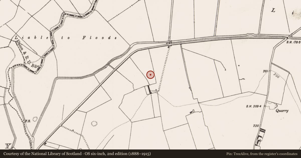 Ordnance Survey six-inch map, 2nd edition (1888–1915) covering the location of Ringfort - unclassified, Rathcannon, County Limerick, with a pin at the register's coordinates