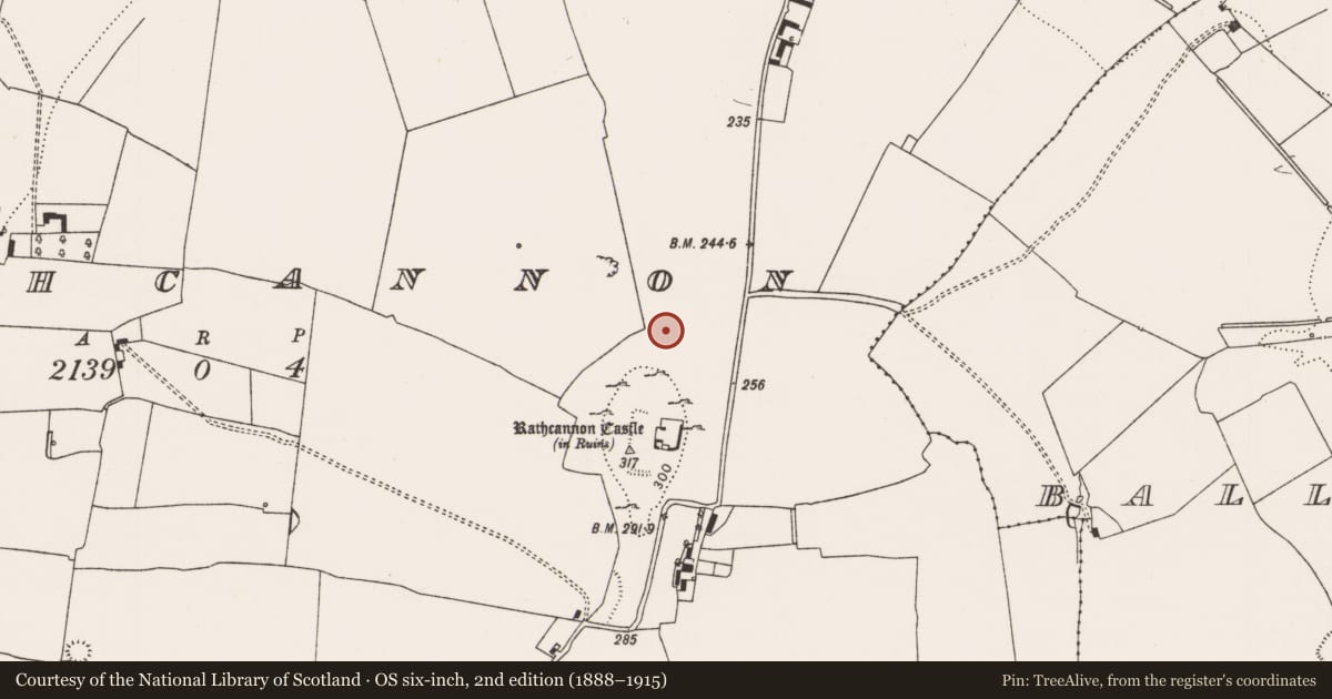 Ordnance Survey six-inch map, 2nd edition (1888–1915) covering the location of Settlement deserted - medieval, Rathcannon, County Limerick, with a pin at the register's coordinates