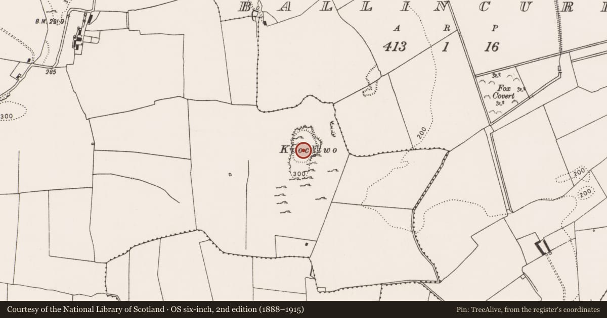 Ordnance Survey six-inch map, 2nd edition (1888–1915) covering the location of Hillfort, Rathcannon, County Limerick, with a pin at the register's coordinates