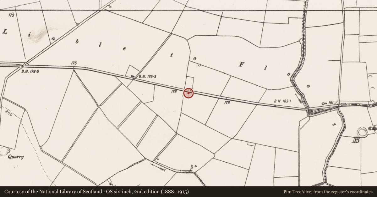 Ordnance Survey six-inch map, 2nd edition (1888–1915) covering the location of Enclosure, Rathcannon, County Limerick, with a pin at the register's coordinates