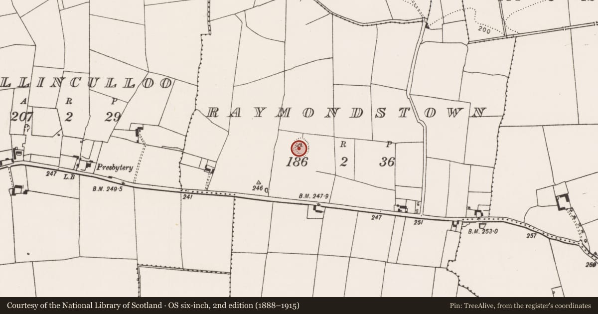 Ordnance Survey six-inch map, 2nd edition (1888–1915) covering the location of Ringfort - rath, Raymondstown, County Limerick, with a pin at the register's coordinates