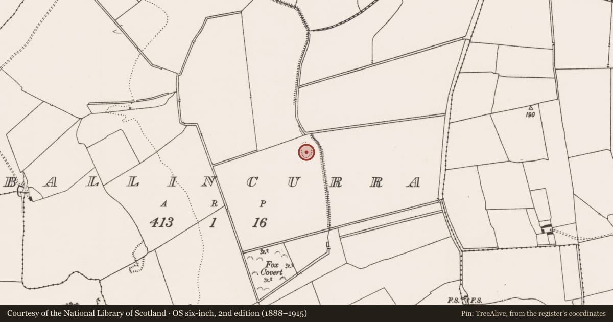 Ordnance Survey six-inch map, 2nd edition (1888–1915) covering the location of Enclosure, Ballincurra, County Limerick, with a pin at the register's coordinates