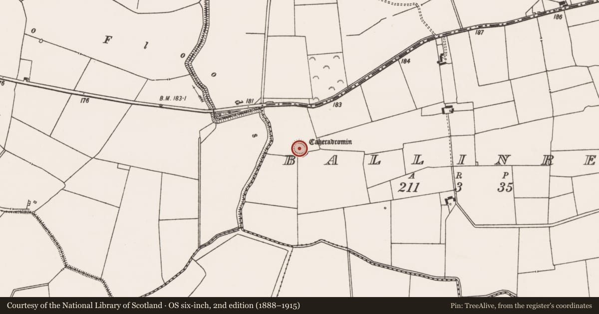 Ordnance Survey six-inch map, 2nd edition (1888–1915) covering the location of Ringfort - rath, Ballinrea, County Limerick, with a pin at the register's coordinates