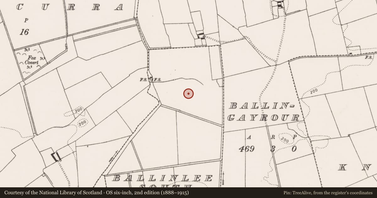 Ordnance Survey six-inch map, 2nd edition (1888–1915) covering the location of Earthwork, Ballinlee South, County Limerick, with a pin at the register's coordinates