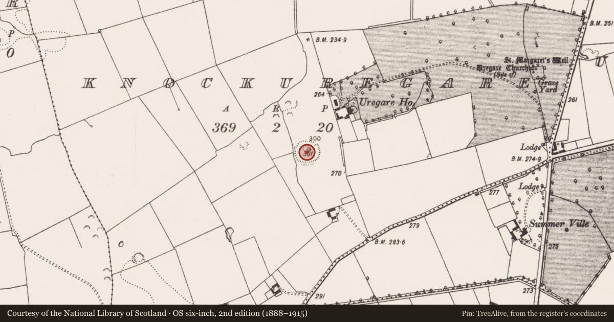 Ordnance Survey six-inch map, 2nd edition (1888–1915) covering the location of Ringfort - rath, Knockuregare, County Limerick, with a pin at the register's coordinates