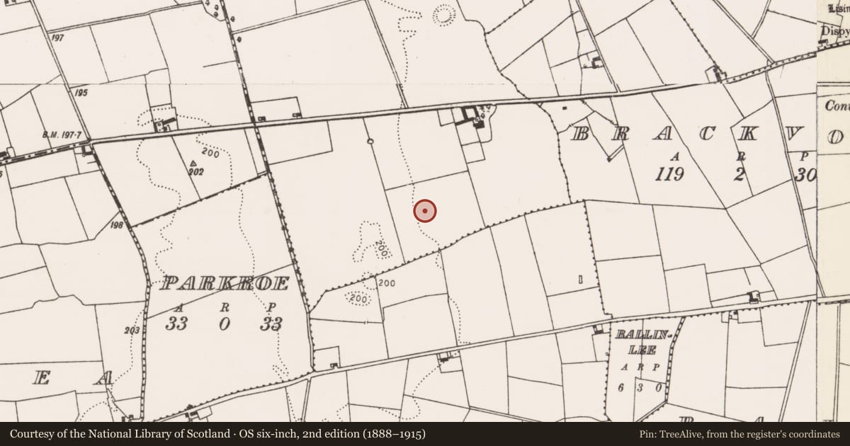 Ordnance Survey six-inch map, 2nd edition (1888–1915) covering the location of Enclosure, Garbally, County Limerick, with a pin at the register's coordinates