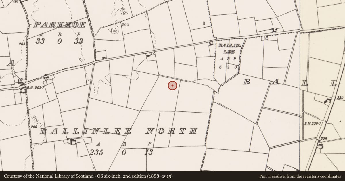 Ordnance Survey six-inch map, 2nd edition (1888–1915) covering the location of Barrow - ring-barrow, Ballinlee North, County Limerick, with a pin at the register's coordinates