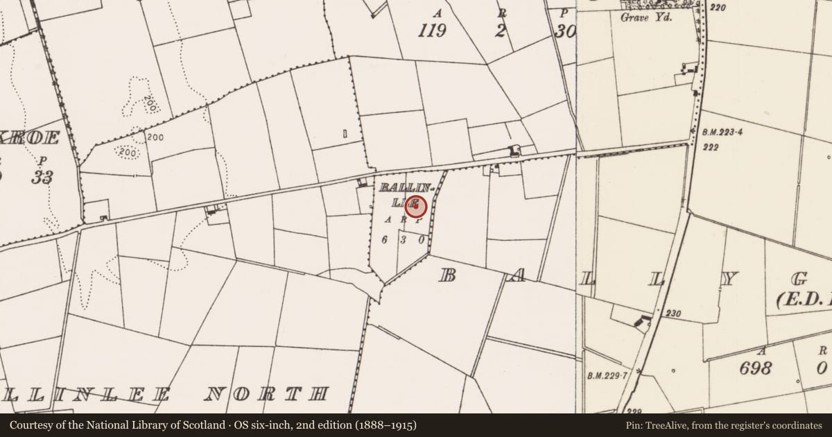 Ordnance Survey six-inch map, 2nd edition (1888–1915) covering the location of Enclosure, Ballinlee, County Limerick, with a pin at the register's coordinates