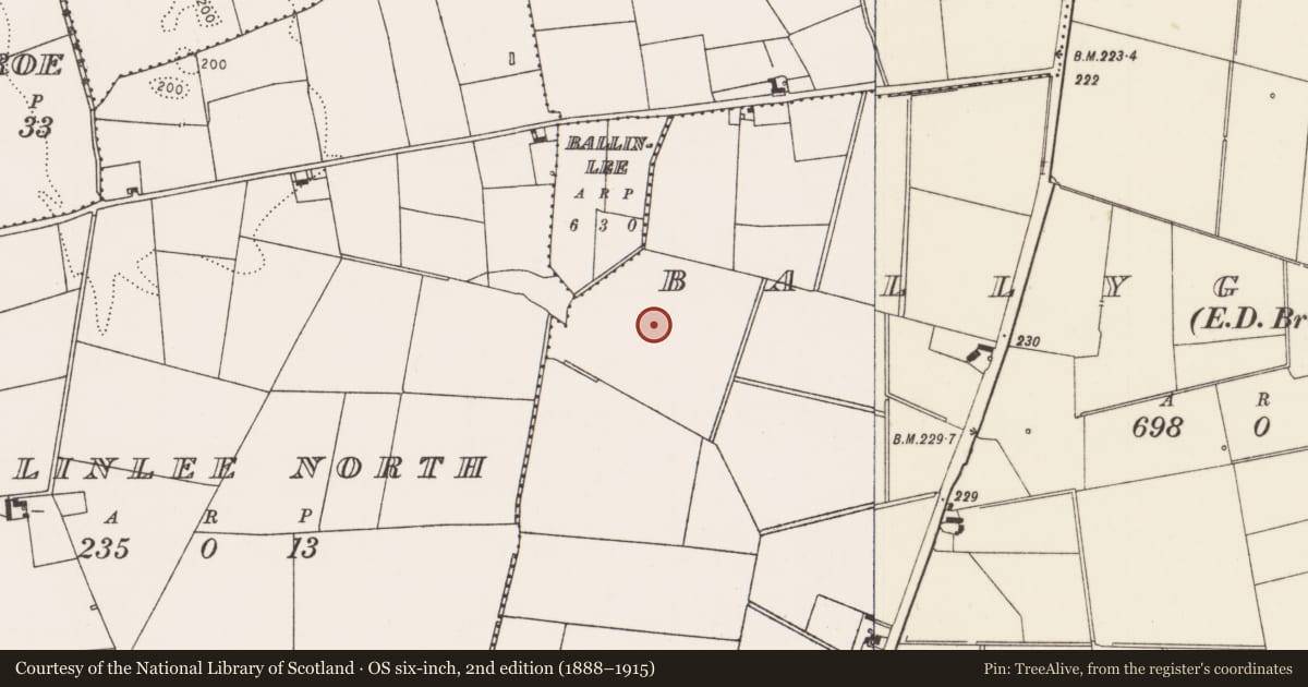 Ordnance Survey six-inch map, 2nd edition (1888–1915) covering the location of Field system, Ballygrennan, County Limerick, with a pin at the register's coordinates