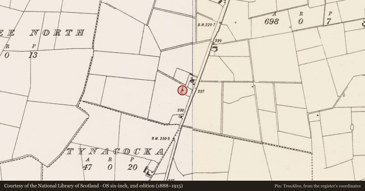 Ordnance Survey six-inch map, 2nd edition (1888–1915) covering the location of Standing stone, Ballygrennan, County Limerick, with a pin at the register's coordinates