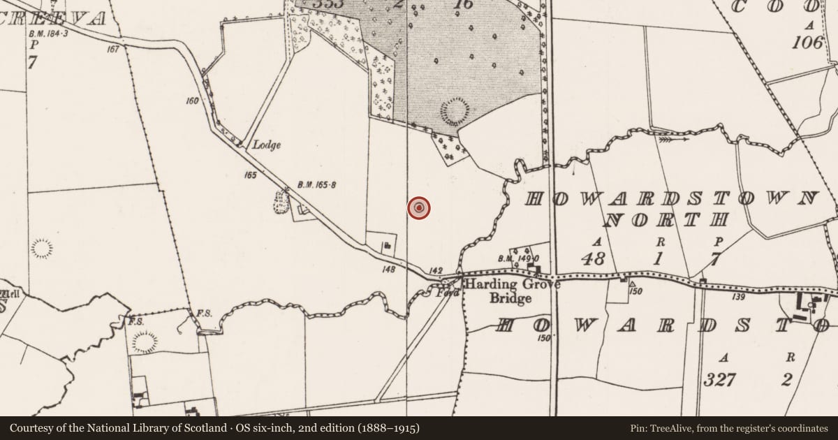 Ordnance Survey six-inch map, 2nd edition (1888–1915) covering the location of Designed landscape - tree-ring, Harding Grove, County Limerick, with a pin at the register's coordinates