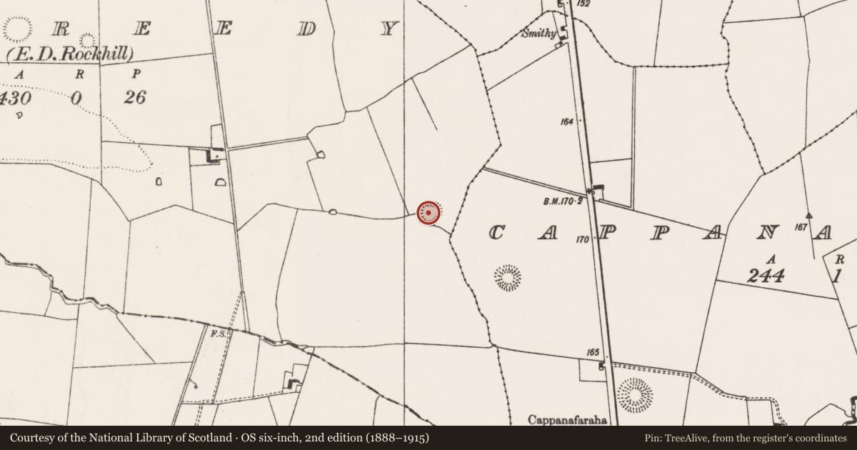 Ordnance Survey six-inch map, 2nd edition (1888–1915) covering the location of Ringfort - rath, Kilbreedy, County Limerick, with a pin at the register's coordinates