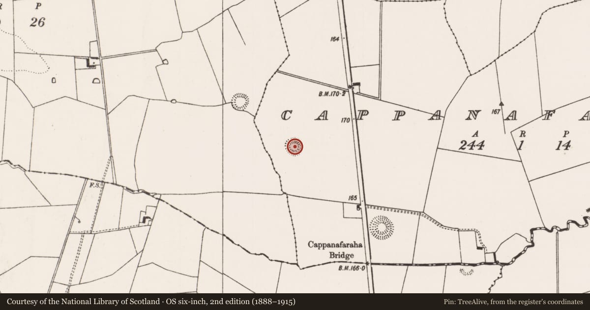 Ordnance Survey six-inch map, 2nd edition (1888–1915) covering the location of Barrow - ring-barrow, Cappanafaraha, County Limerick, with a pin at the register's coordinates