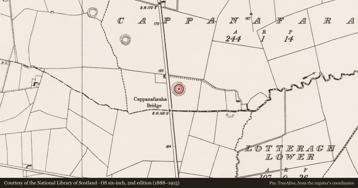 Ordnance Survey six-inch map, 2nd edition (1888–1915) covering the location of Ringfort - rath, Cappanafaraha, County Limerick, with a pin at the register's coordinates