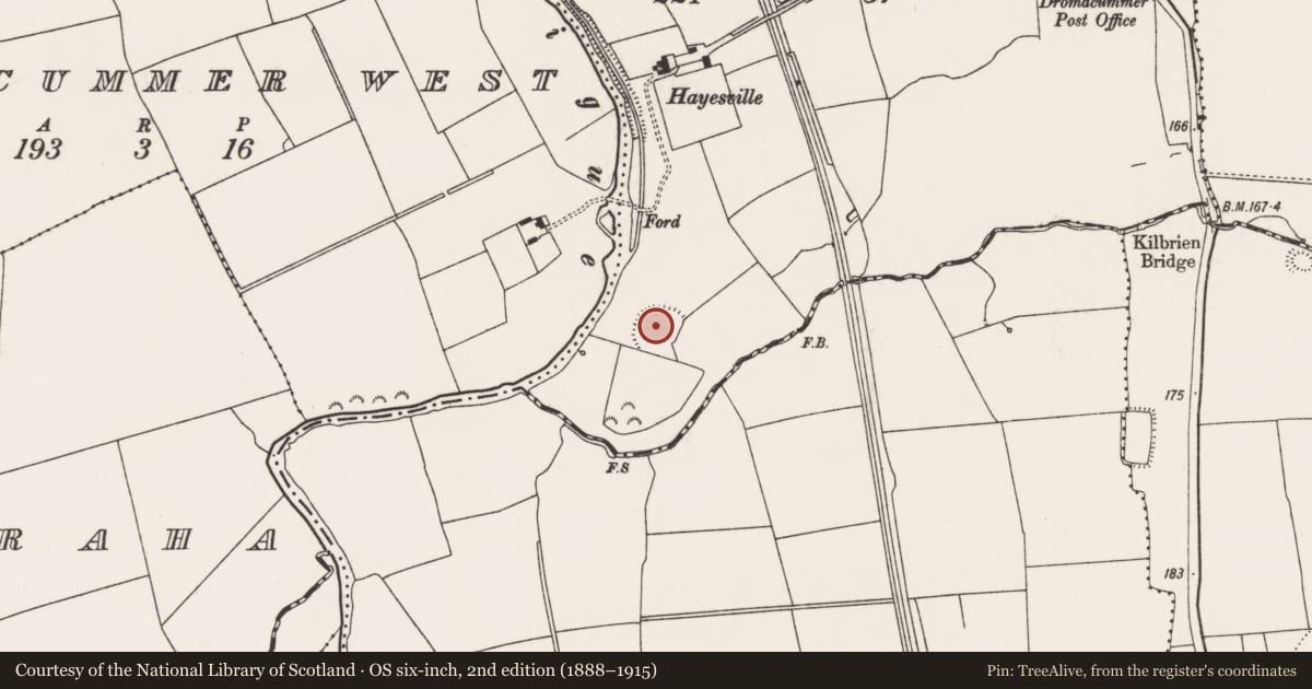 Ordnance Survey six-inch map, 2nd edition (1888–1915) covering the location of Earthwork, Dromacummer East, County Limerick, with a pin at the register's coordinates