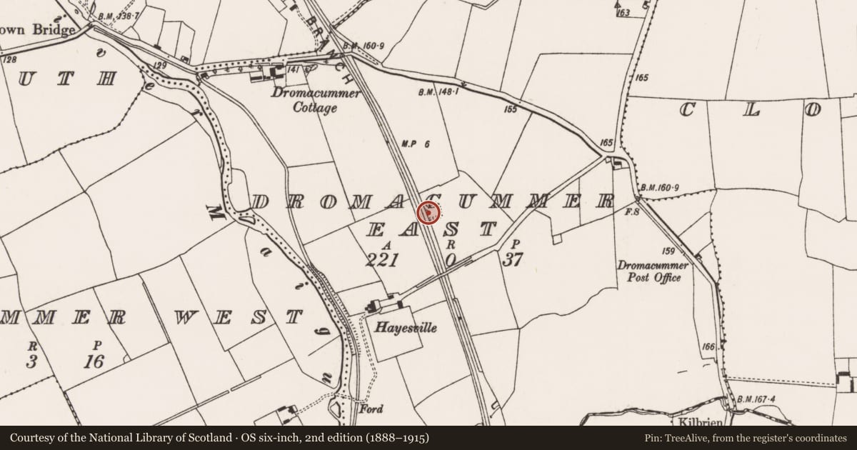 Ordnance Survey six-inch map, 2nd edition (1888–1915) covering the location of Ringfort - rath, Dromacummer East, County Limerick, with a pin at the register's coordinates
