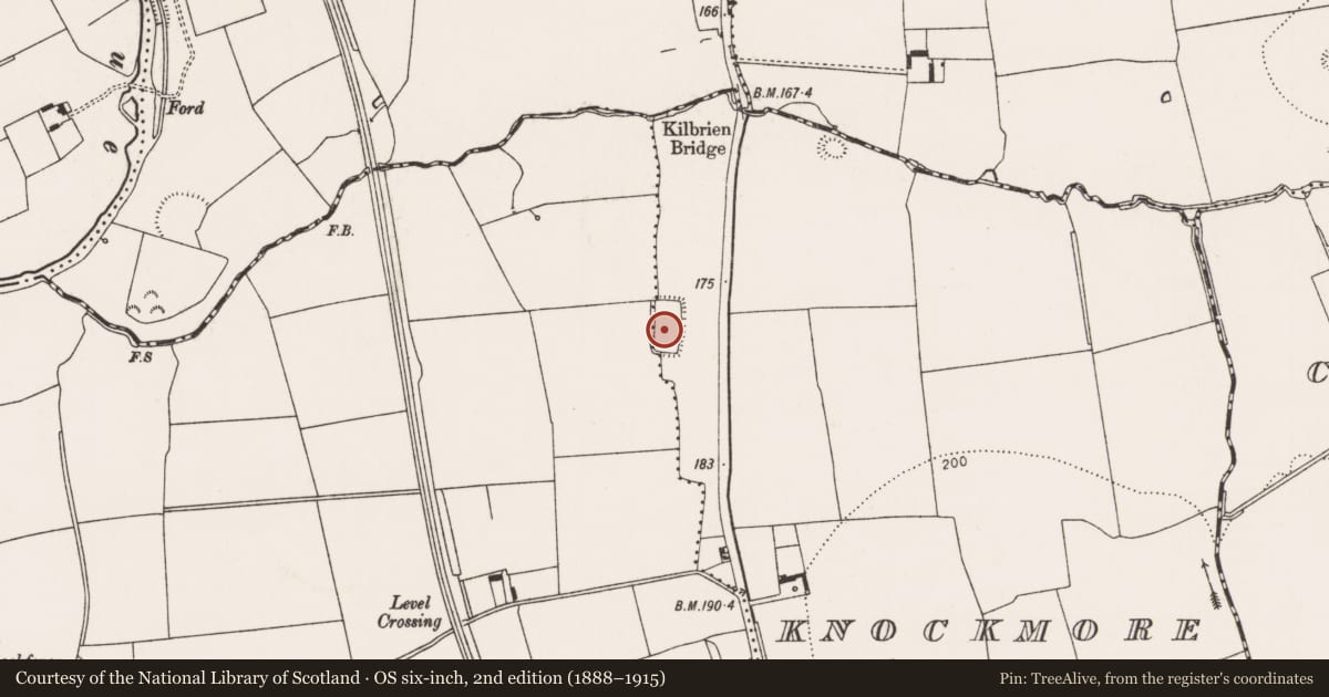Ordnance Survey six-inch map, 2nd edition (1888–1915) covering the location of Moated site, Knockmore, County Limerick, with a pin at the register's coordinates
