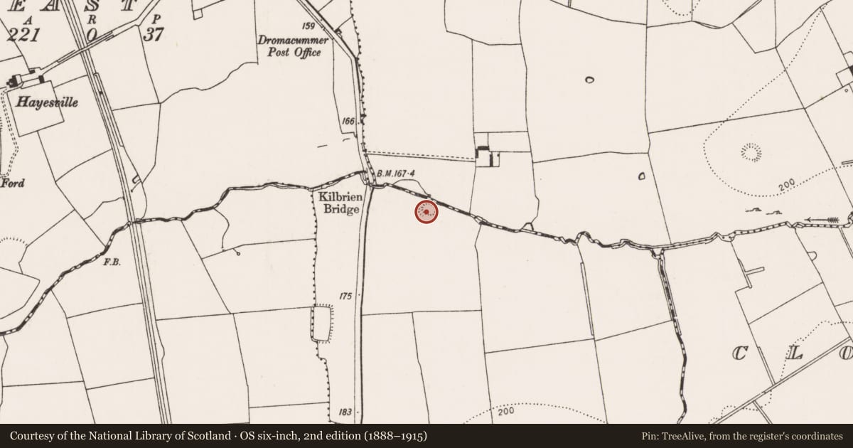 Ordnance Survey six-inch map, 2nd edition (1888–1915) covering the location of Enclosure, Knockmore, County Limerick, with a pin at the register's coordinates