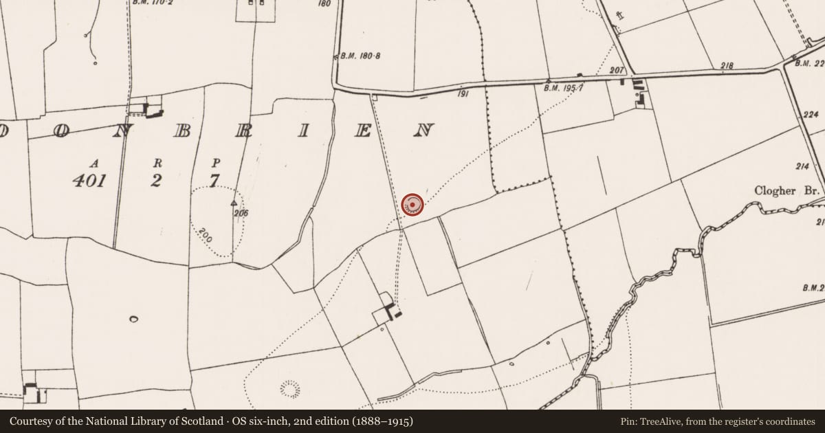 Ordnance Survey six-inch map, 2nd edition (1888–1915) covering the location of Ringfort - cashel, Cloonbrien, County Limerick, with a pin at the register's coordinates