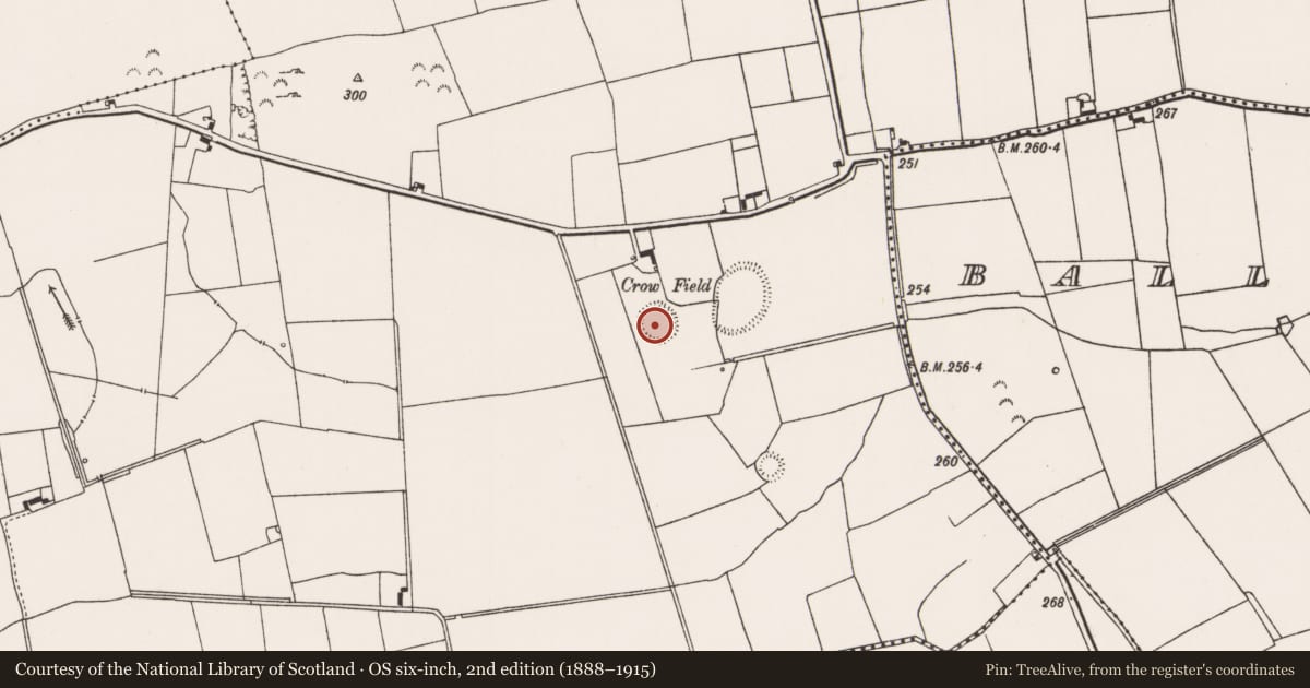 Ordnance Survey six-inch map, 2nd edition (1888–1915) covering the location of Ringfort - rath, Clogher East, County Limerick, with a pin at the register's coordinates