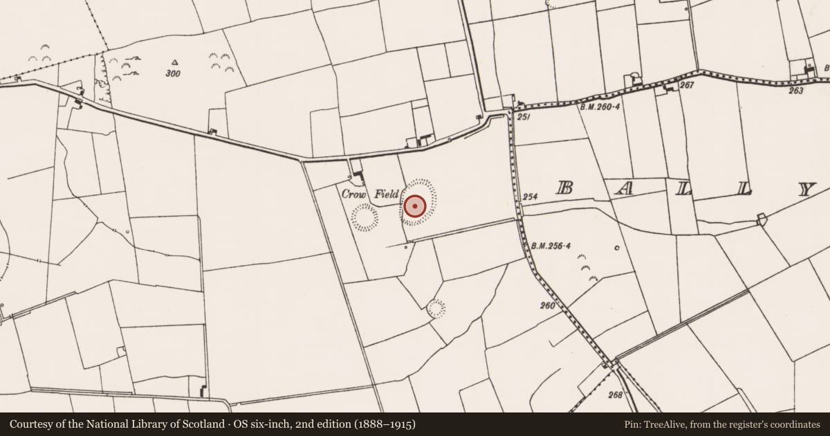 Ordnance Survey six-inch map, 2nd edition (1888–1915) covering the location of Enclosure - large enclosure, Clogher East, County Limerick, with a pin at the register's coordinates