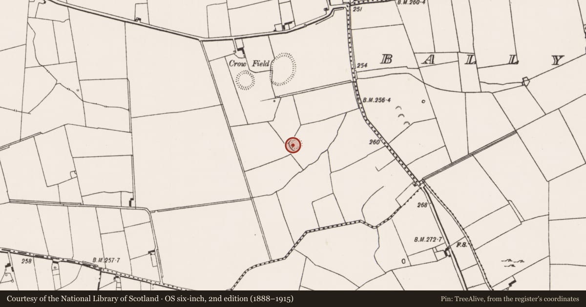Ordnance Survey six-inch map, 2nd edition (1888–1915) covering the location of Ringfort - rath, Clogher East, County Limerick, with a pin at the register's coordinates