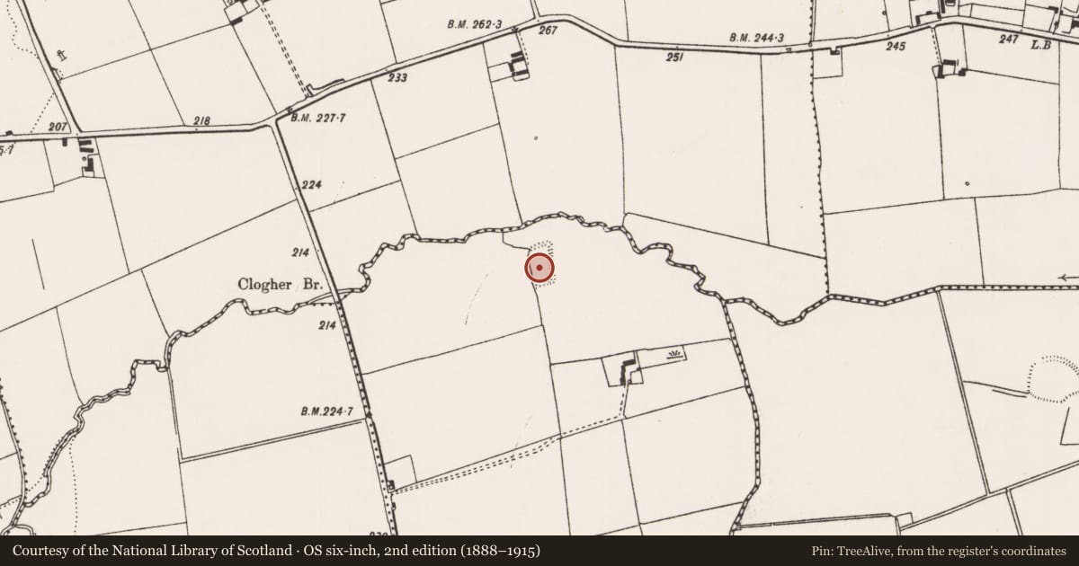 Ordnance Survey six-inch map, 2nd edition (1888–1915) covering the location of Moated site, Clogher East, County Limerick, with a pin at the register's coordinates