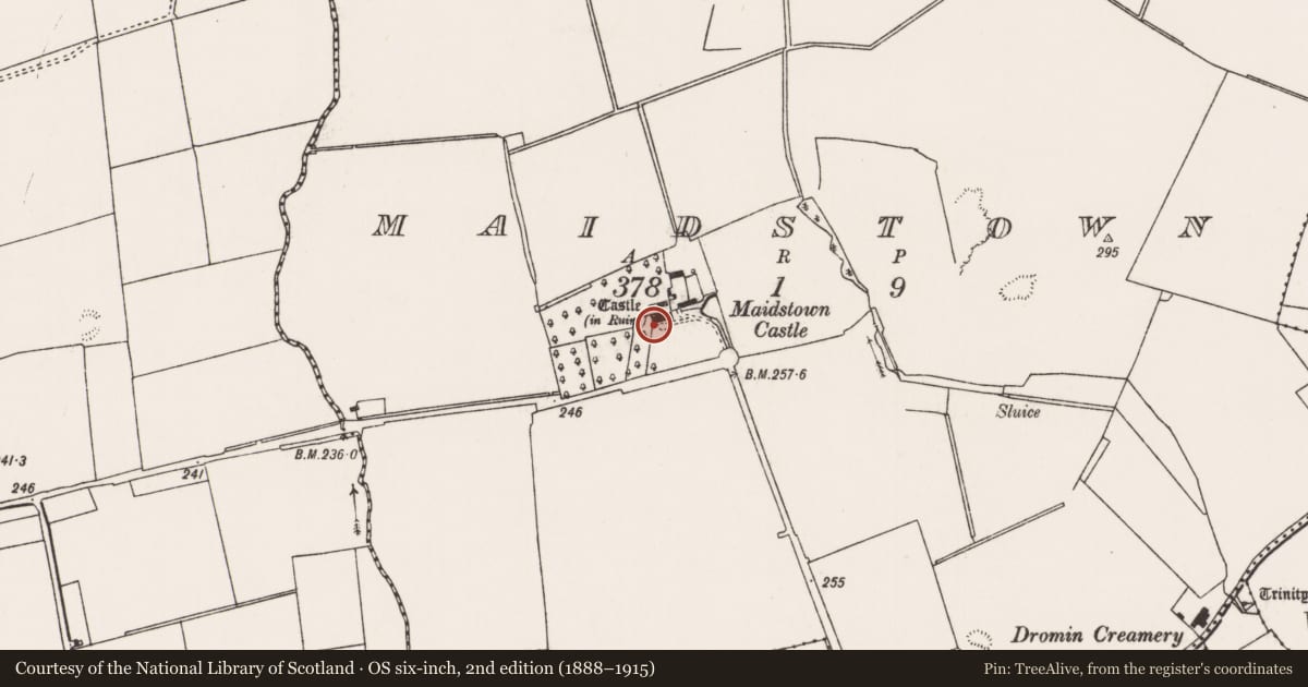 Ordnance Survey six-inch map, 2nd edition (1888–1915) covering the location of Castle - tower house, Maidstown, County Limerick, with a pin at the register's coordinates
