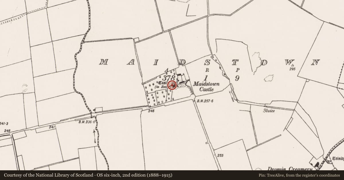 Ordnance Survey six-inch map, 2nd edition (1888–1915) covering the location of Bawn, Maidstown, County Limerick, with a pin at the register's coordinates