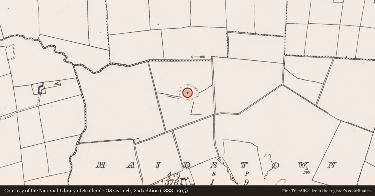 Ordnance Survey six-inch map, 2nd edition (1888–1915) covering the location of Enclosure - large enclosure, Maidstown, County Limerick, with a pin at the register's coordinates