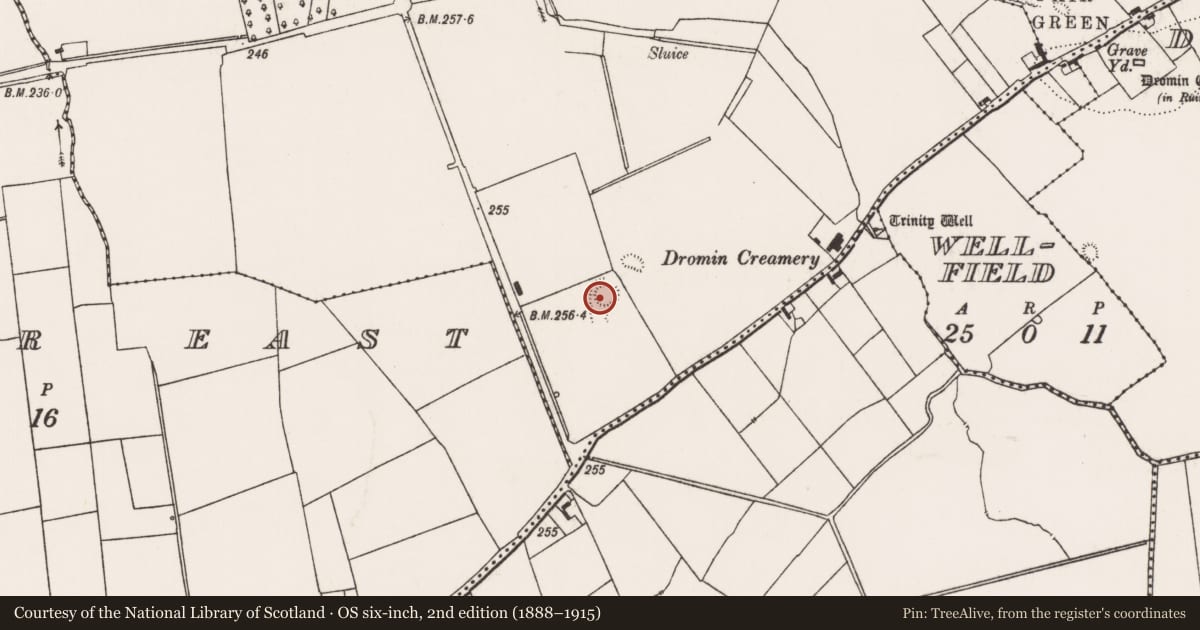 Ordnance Survey six-inch map, 2nd edition (1888–1915) covering the location of Ringfort - rath, Maidstown, County Limerick, with a pin at the register's coordinates