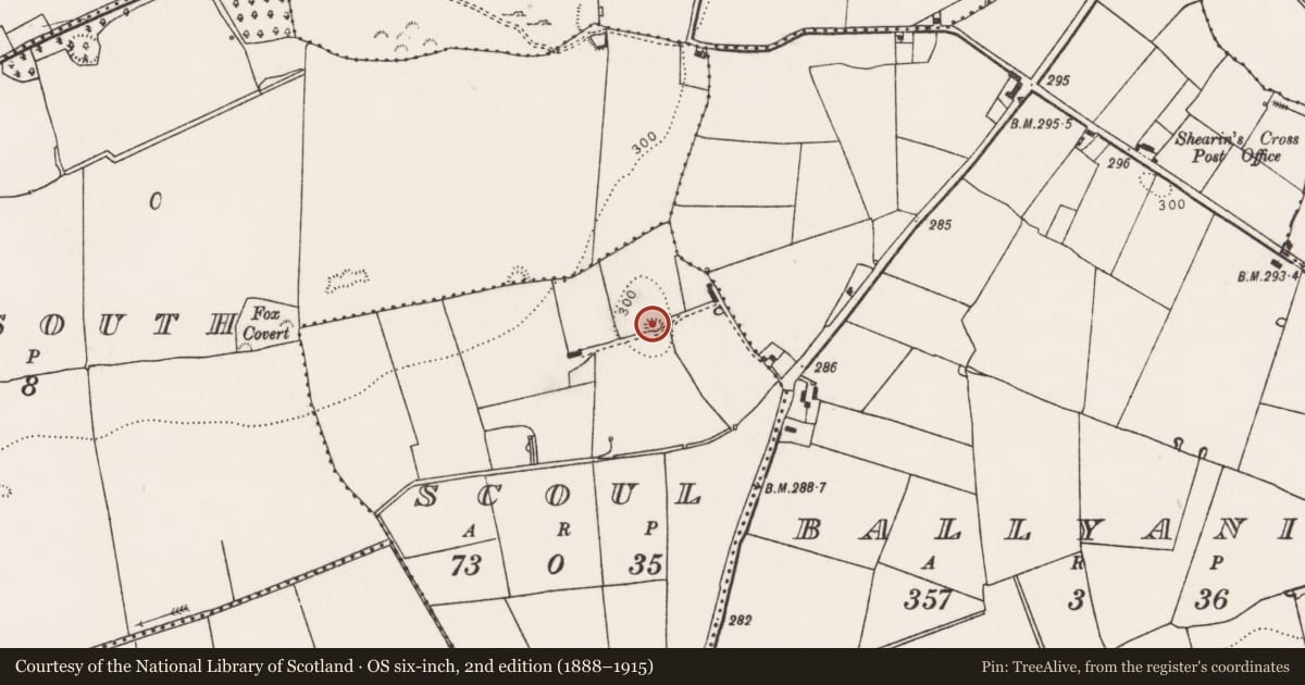 Ordnance Survey six-inch map, 2nd edition (1888–1915) covering the location of Quarry, Scoul, County Limerick, with a pin at the register's coordinates