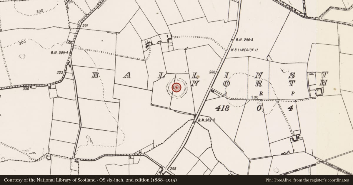 Ordnance Survey six-inch map, 2nd edition (1888–1915) covering the location of Barrow - unclassified, Ballinstona North, County Limerick, with a pin at the register's coordinates