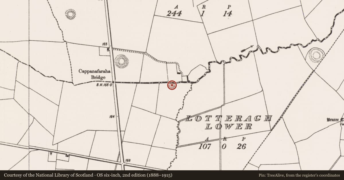 Ordnance Survey six-inch map, 2nd edition (1888–1915) covering the location of Ringfort - rath, Ballyfookeen, County Limerick, with a pin at the register's coordinates