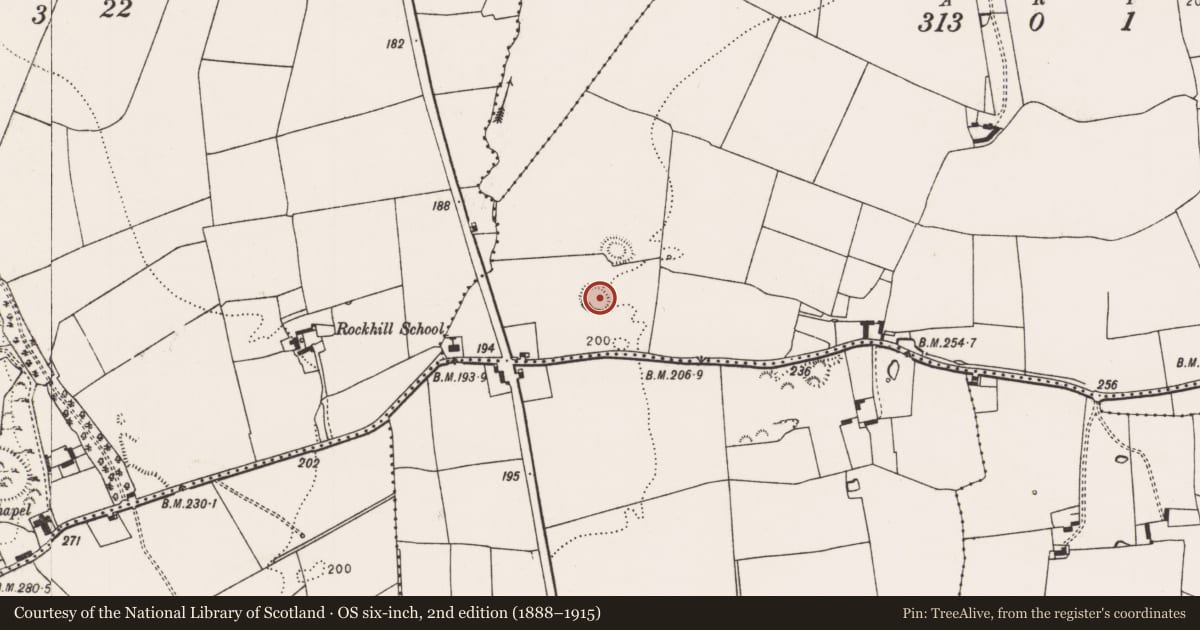 Ordnance Survey six-inch map, 2nd edition (1888–1915) covering the location of Ringfort - rath, Lotteragh Upper, County Limerick, with a pin at the register's coordinates