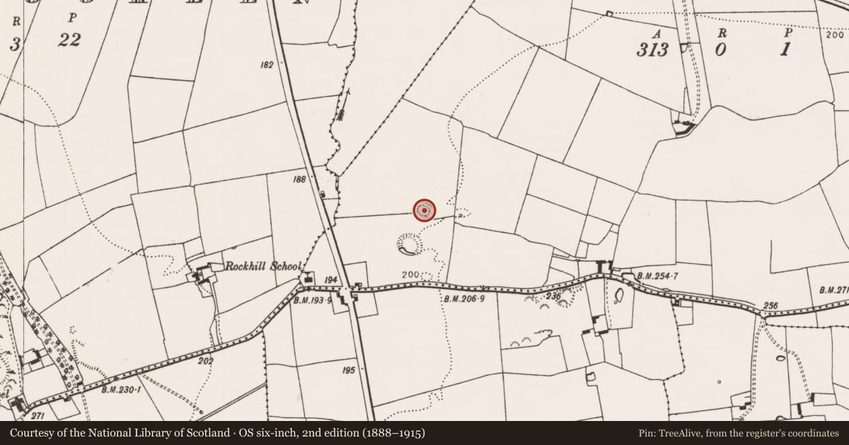 Ordnance Survey six-inch map, 2nd edition (1888–1915) covering the location of Ringfort - rath, Lotteragh Upper, County Limerick, with a pin at the register's coordinates