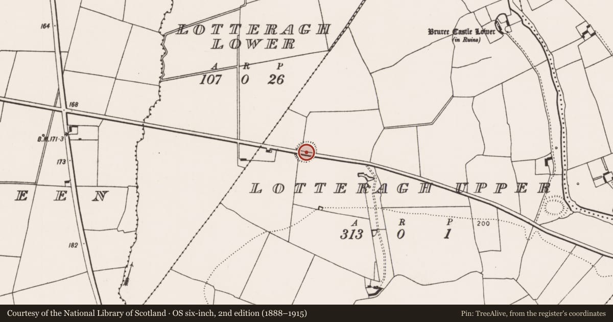 Ordnance Survey six-inch map, 2nd edition (1888–1915) covering the location of Ringfort - rath, Lotteragh Upper, County Limerick, with a pin at the register's coordinates
