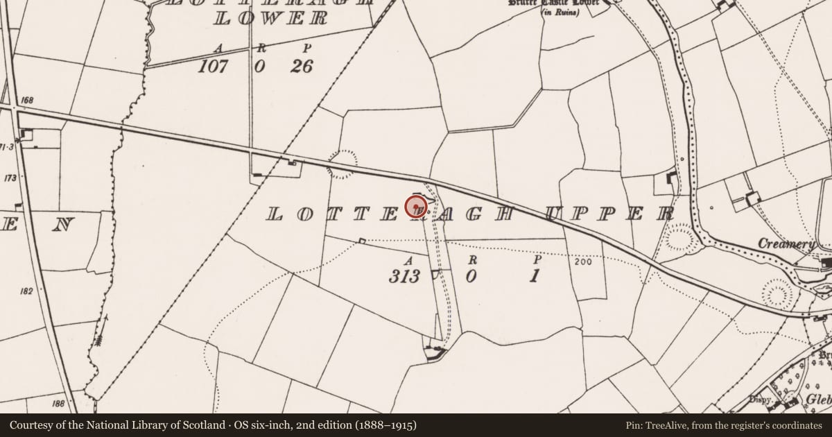 Ordnance Survey six-inch map, 2nd edition (1888–1915) covering the location of Ringfort - rath, Lotteragh Upper, County Limerick, with a pin at the register's coordinates