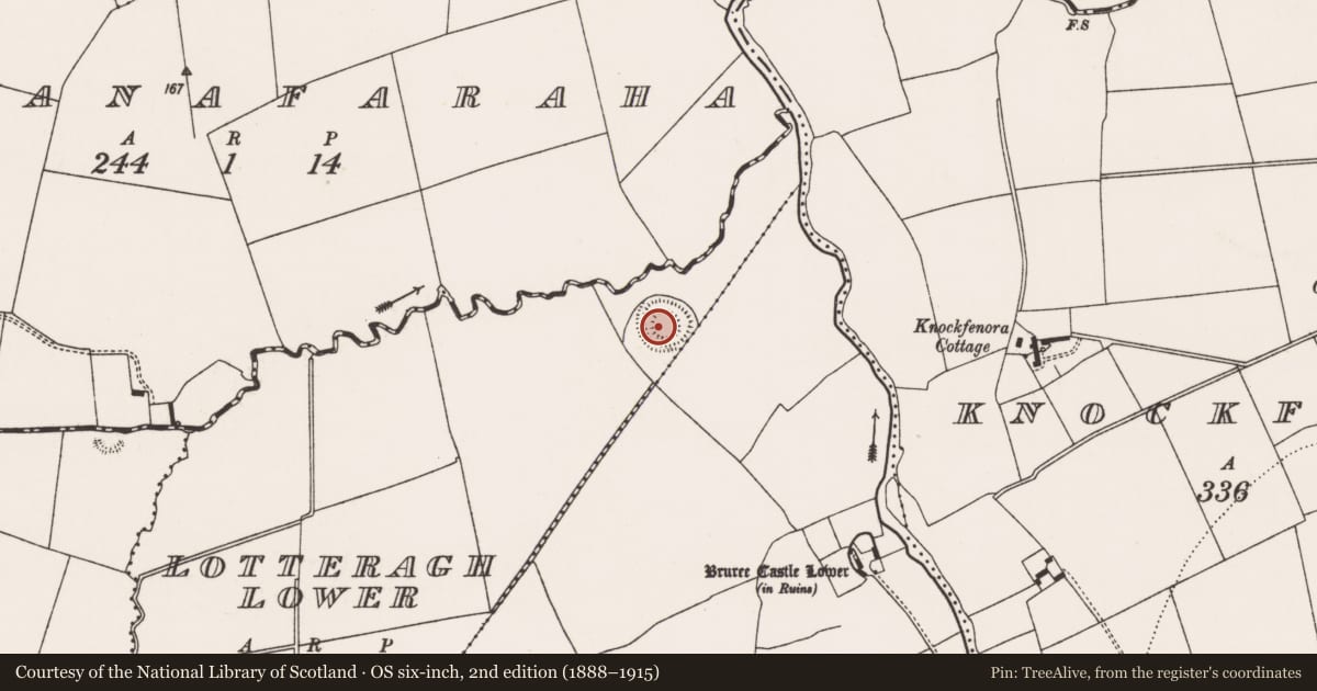 Ordnance Survey six-inch map, 2nd edition (1888–1915) covering the location of Ringfort - rath, Lotteragh Lower, County Limerick, with a pin at the register's coordinates