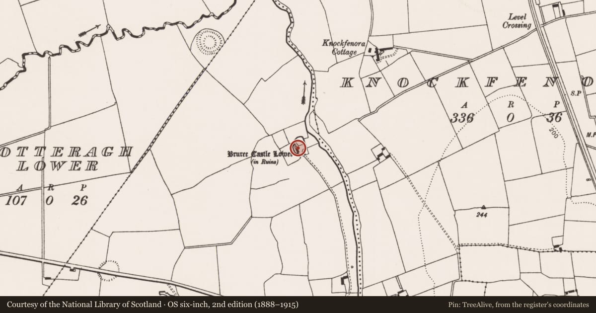 Ordnance Survey six-inch map, 2nd edition (1888–1915) covering the location of Castle - Anglo-Norman masonry castle, Lotteragh Upper, County Limerick, with a pin at the register's coordinates