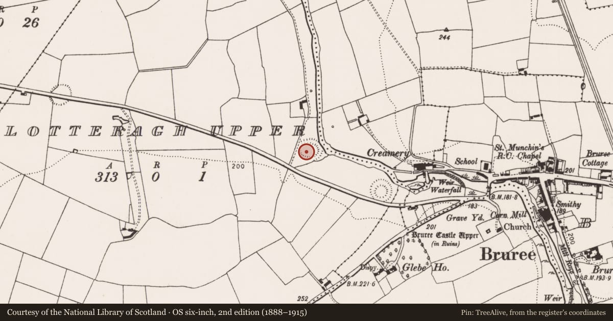 Ordnance Survey six-inch map, 2nd edition (1888–1915) covering the location of Ringfort - rath, Lotteragh Upper, County Limerick, with a pin at the register's coordinates